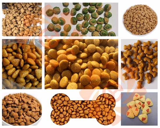 Fabricación de alto rendimiento Línea de producción de alimentos para perros secos para mascotas Extrusora Máquina de procesamiento de fabricación de pellets de alimento flotante para peces